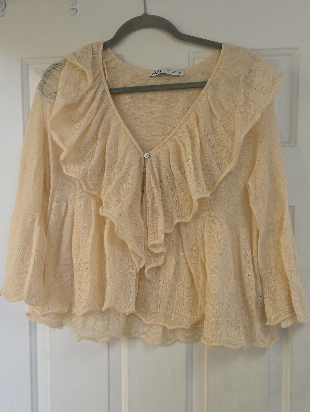 Zara Shimmer Ruffle Lace Top